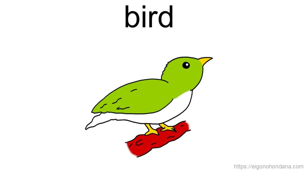 【画像】鳥
