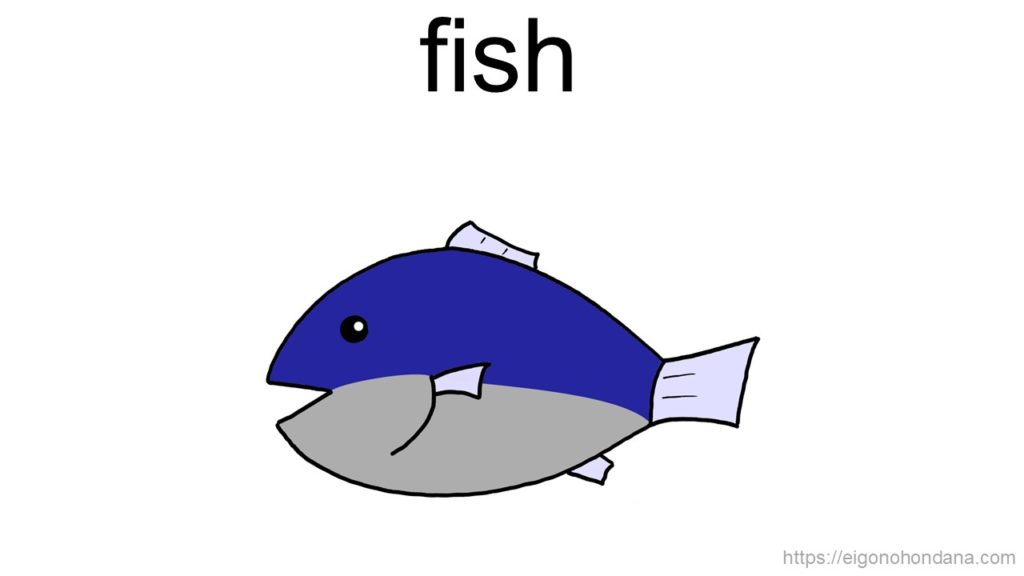 【画像】魚
