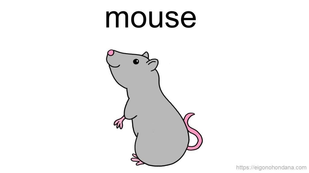 【画像】ネズミ