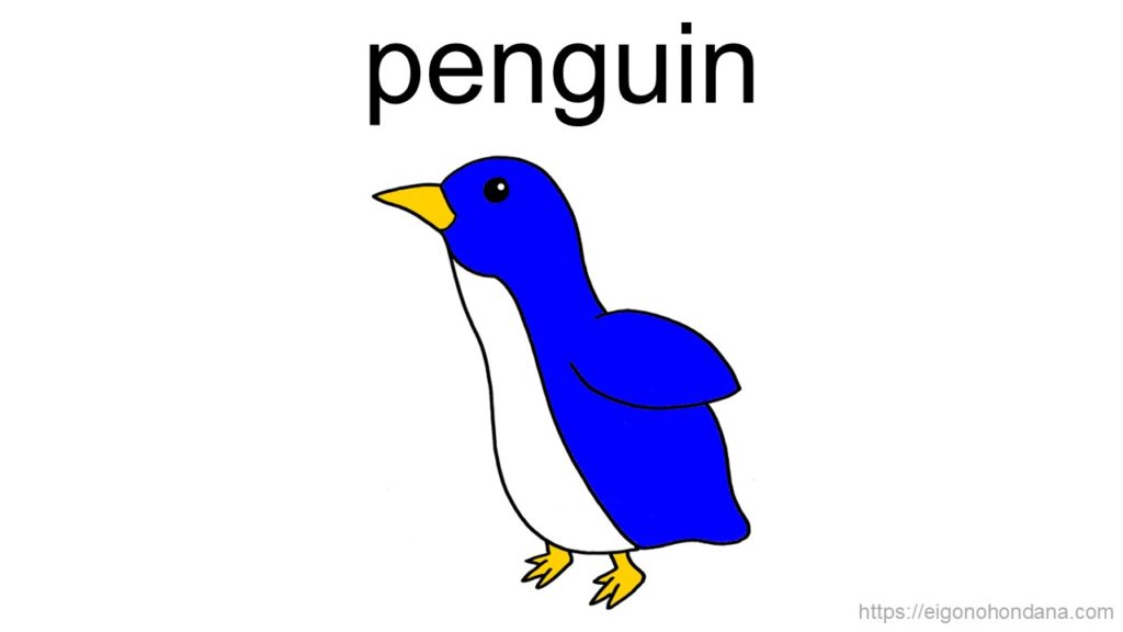 【画像】ペンギン