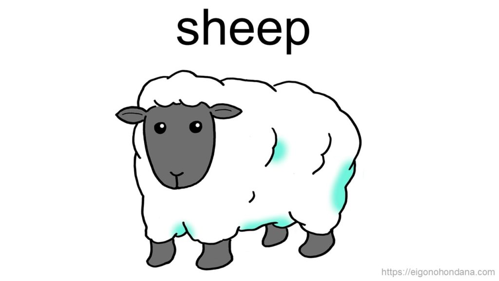 【画像】羊