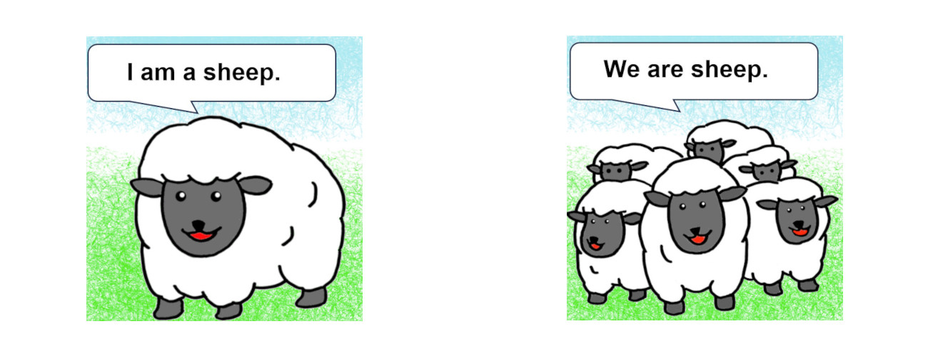 【画像】sheepの単数、複数