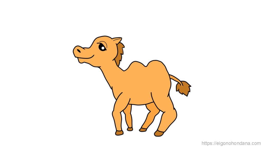 【画像】ラクダ：文字なし