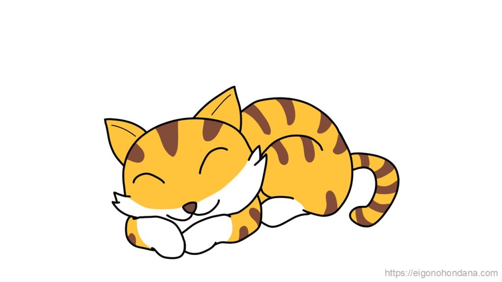 【画像】猫：文字なし