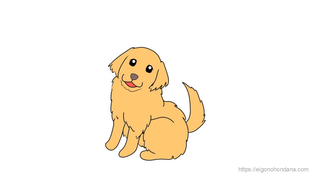 【画像】犬：文字なし