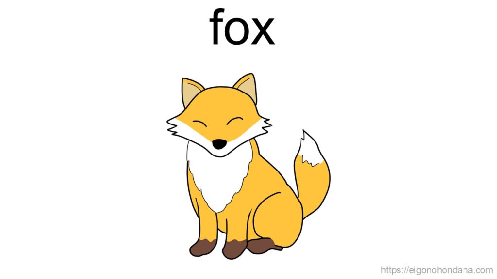 【画像】キツネ