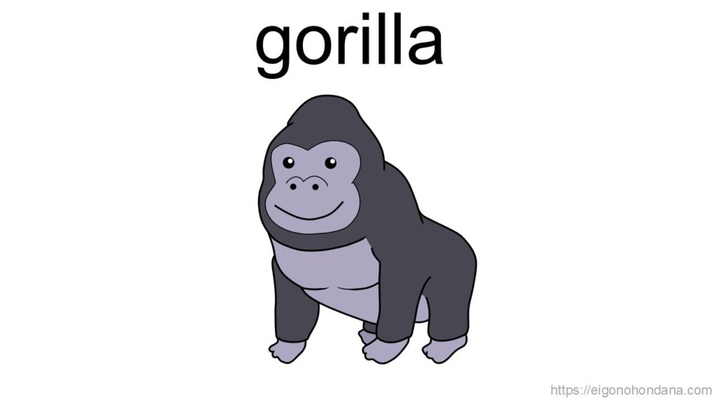 【画像】ゴリラ