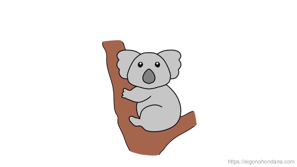 【画像】コアラ：文字なし