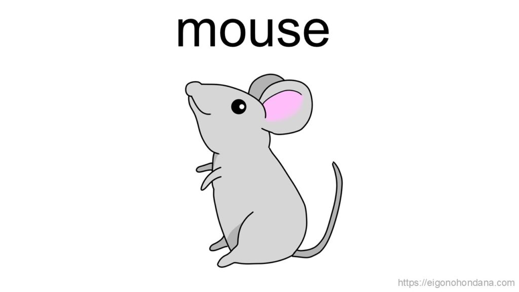 【画像】ネズミ