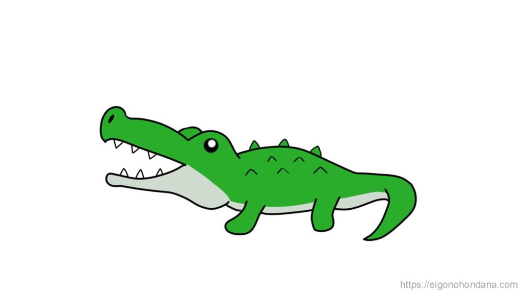 【画像/文字なし】ワニ