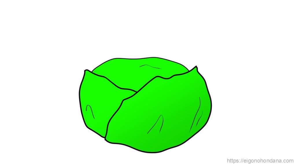 【画像】文字無; キャベツ