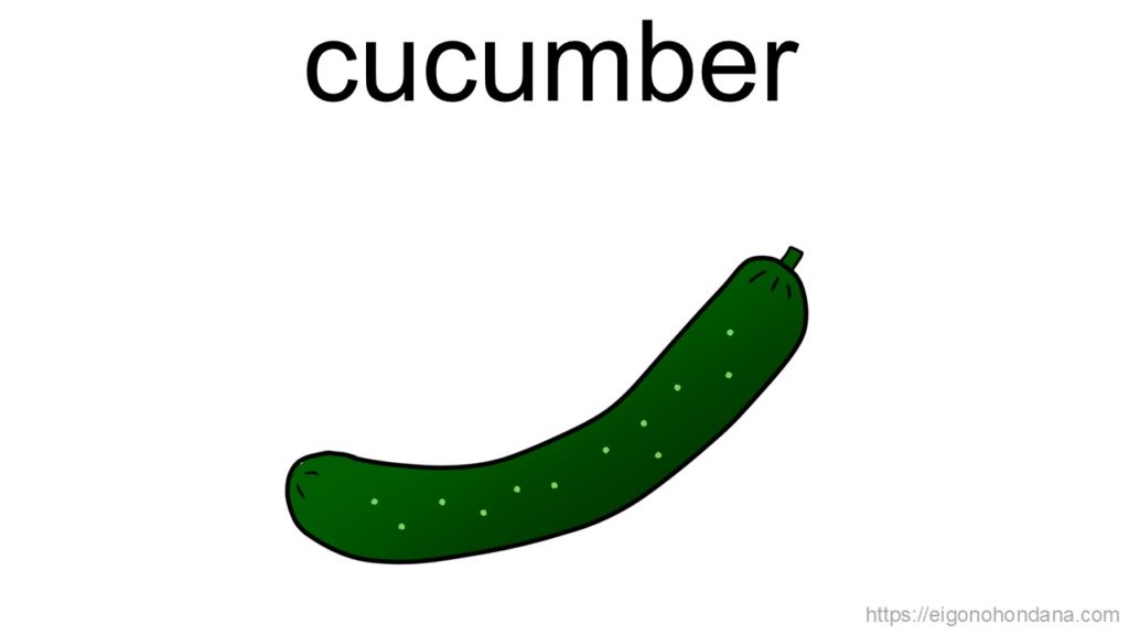 【画像】きゅうり