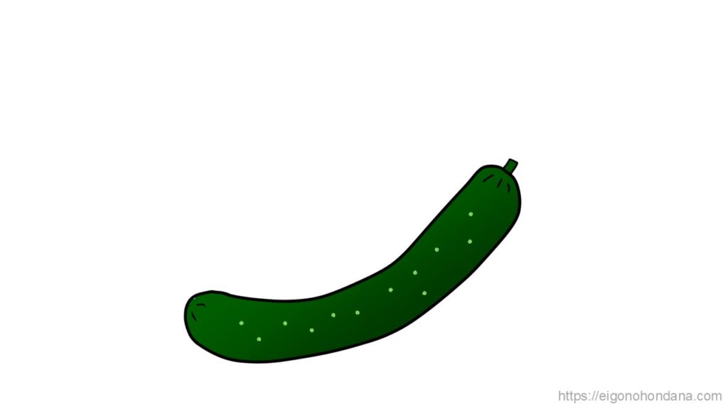 【画像】文字無; きゅうり