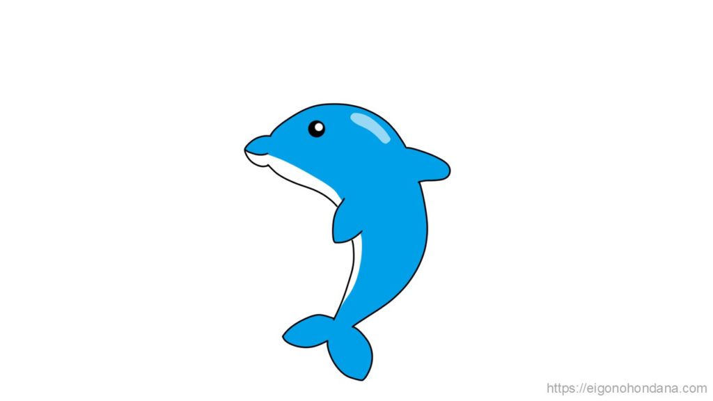 【画像/文字なし】イルカ