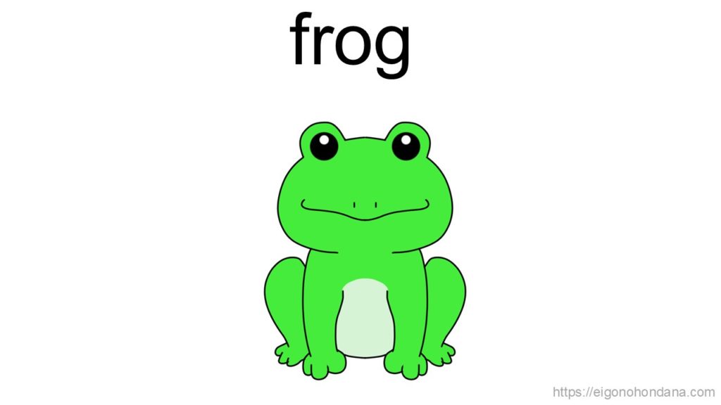 【画像】カエル