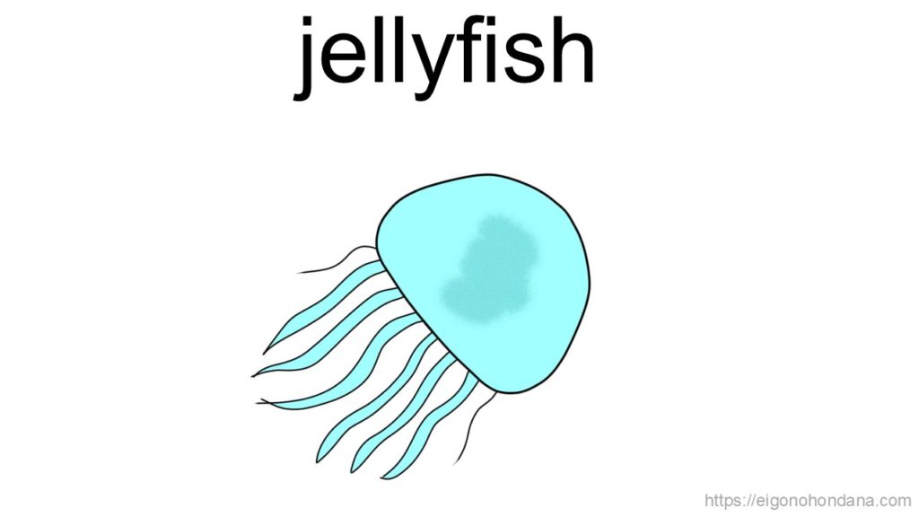 【画像】クラゲ