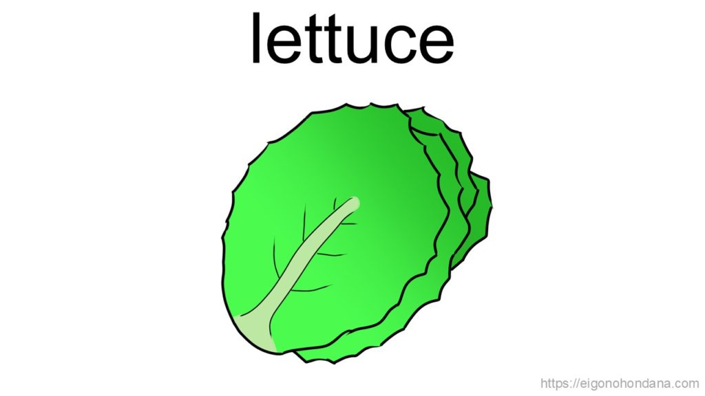 【画像】レタス