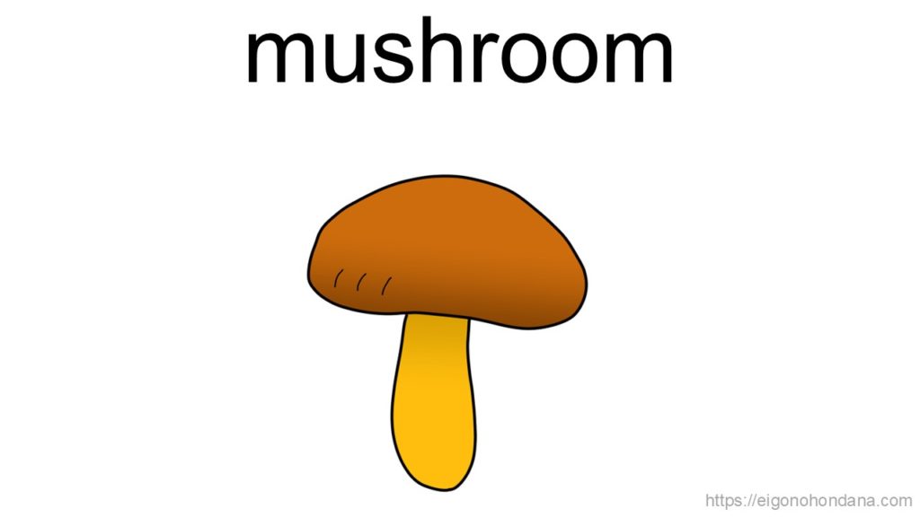 【画像】きのこ