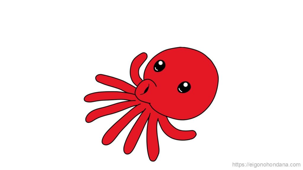 【画像/文字なし】タコ