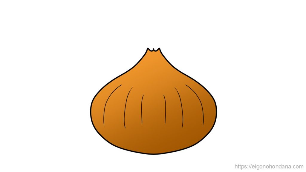 【画像】文字無; たまねぎ
