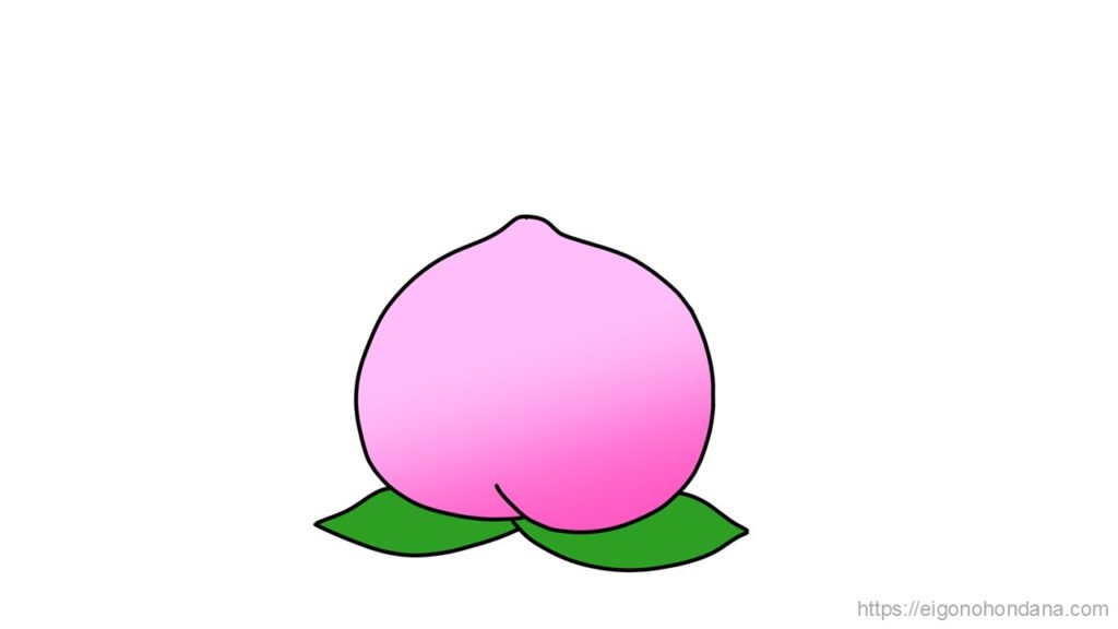 【画像】文字無; モモ