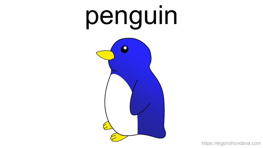 【画像】ペンギン