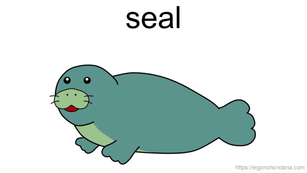 【画像】アザラシ