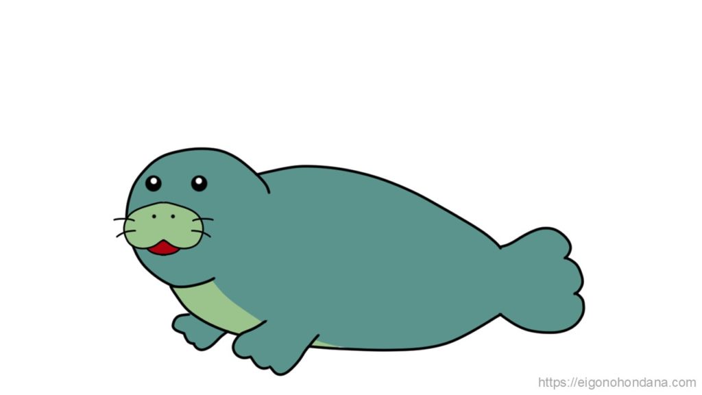 【画像/文字なし】アザラシ