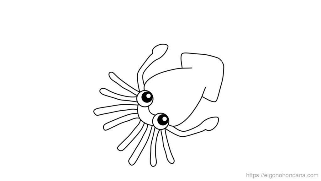 【画像/文字なし】イカ