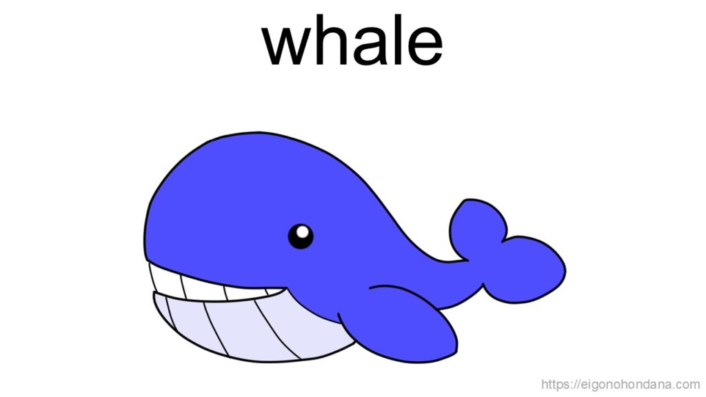 【画像】クジラ